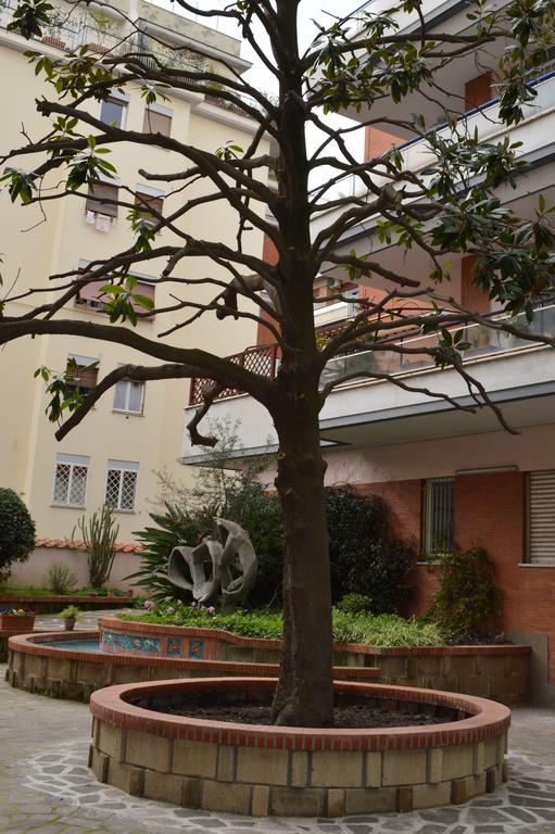 Adan Vatican Bed & Breakfast Roma Ngoại thất bức ảnh